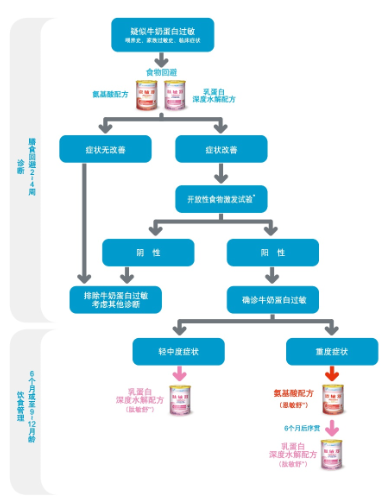 hcp-decisional-tree