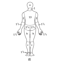 skin-symptoms-1-3