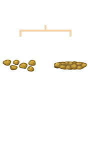 stools-indicate-constipation